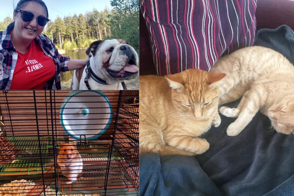 Photo collage of employees with their pets during lockdown